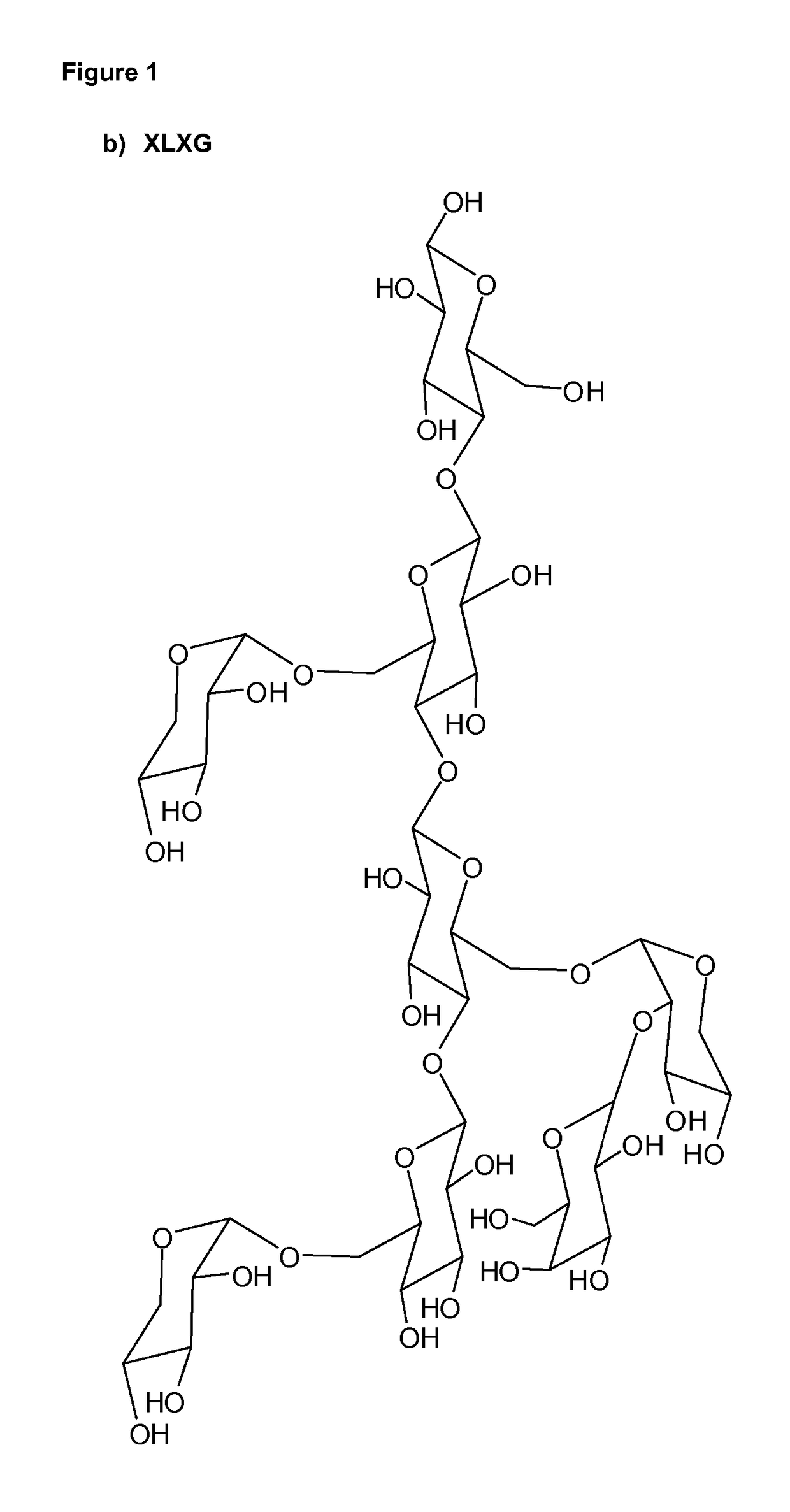 Xyloglucan film