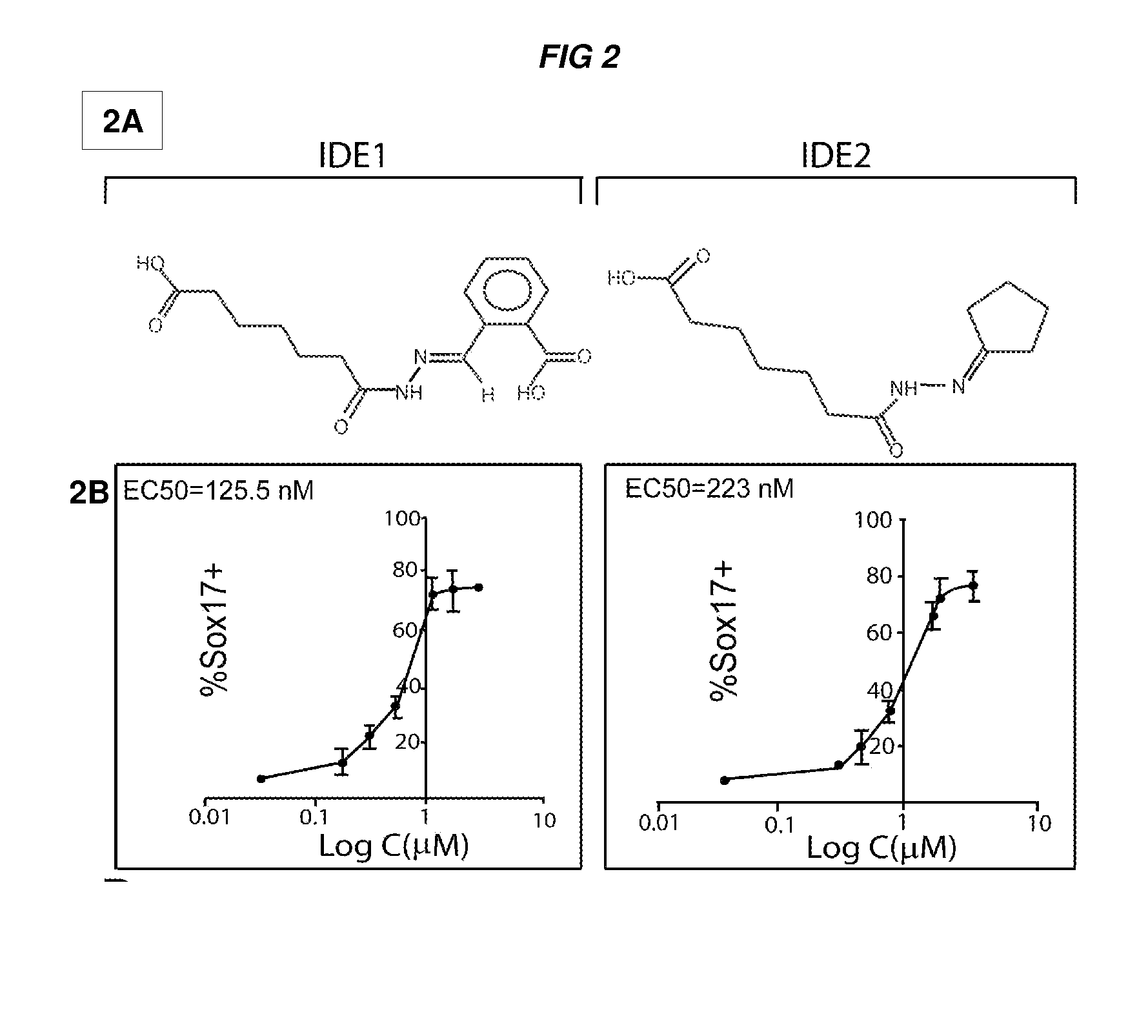 Compositions and methods for promoting the generation of definitive endoderm