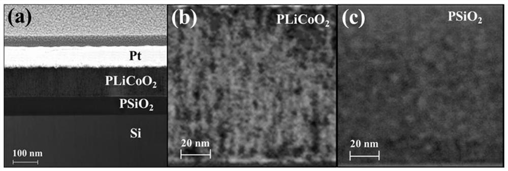 Preparation method of double-layer porous oxide structure based on artificial nerve synaptic function