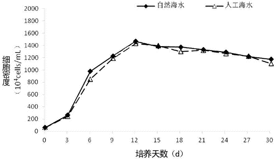 High-concentration lead artificial seawater and preparation method thereof