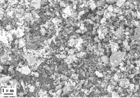 Preparation method for lithium ion battery cathode material ferric niobate