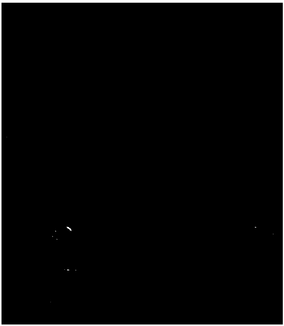 Multi-purpose slightly-ground oat kernels and production method thereof