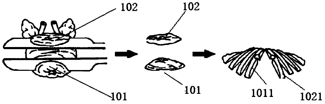 Prostatic cancer simulation model and manufacturing method thereof