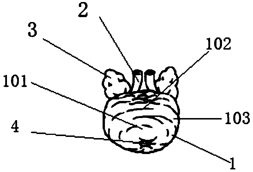 Prostatic cancer simulation model and manufacturing method thereof