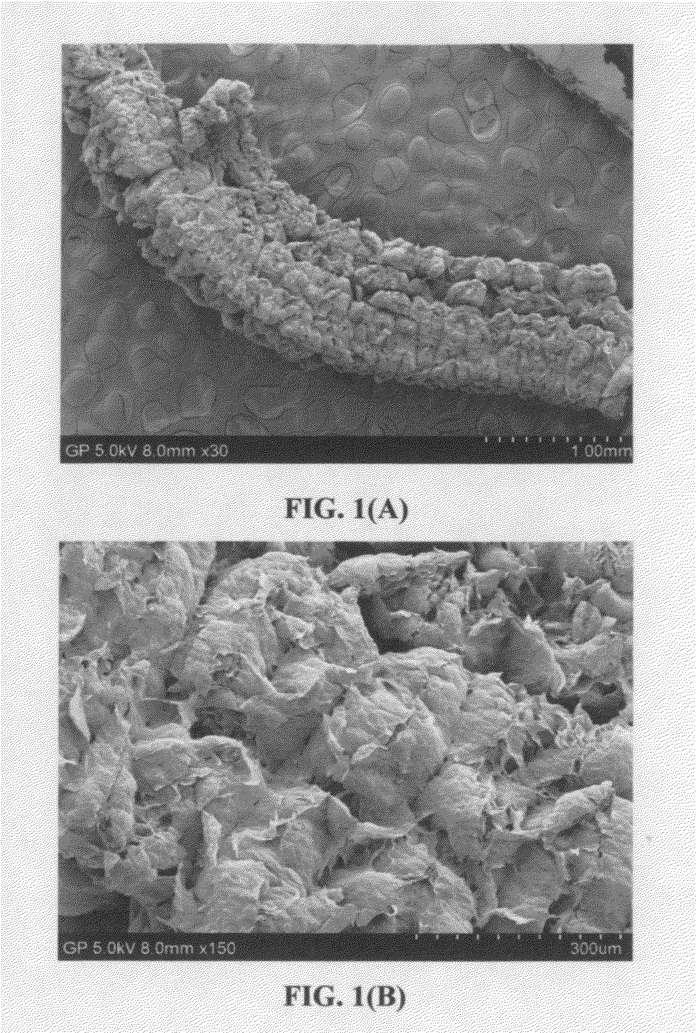 Lithium secondary batteries containing lithium salt-ionic liquid solvent electrolyte