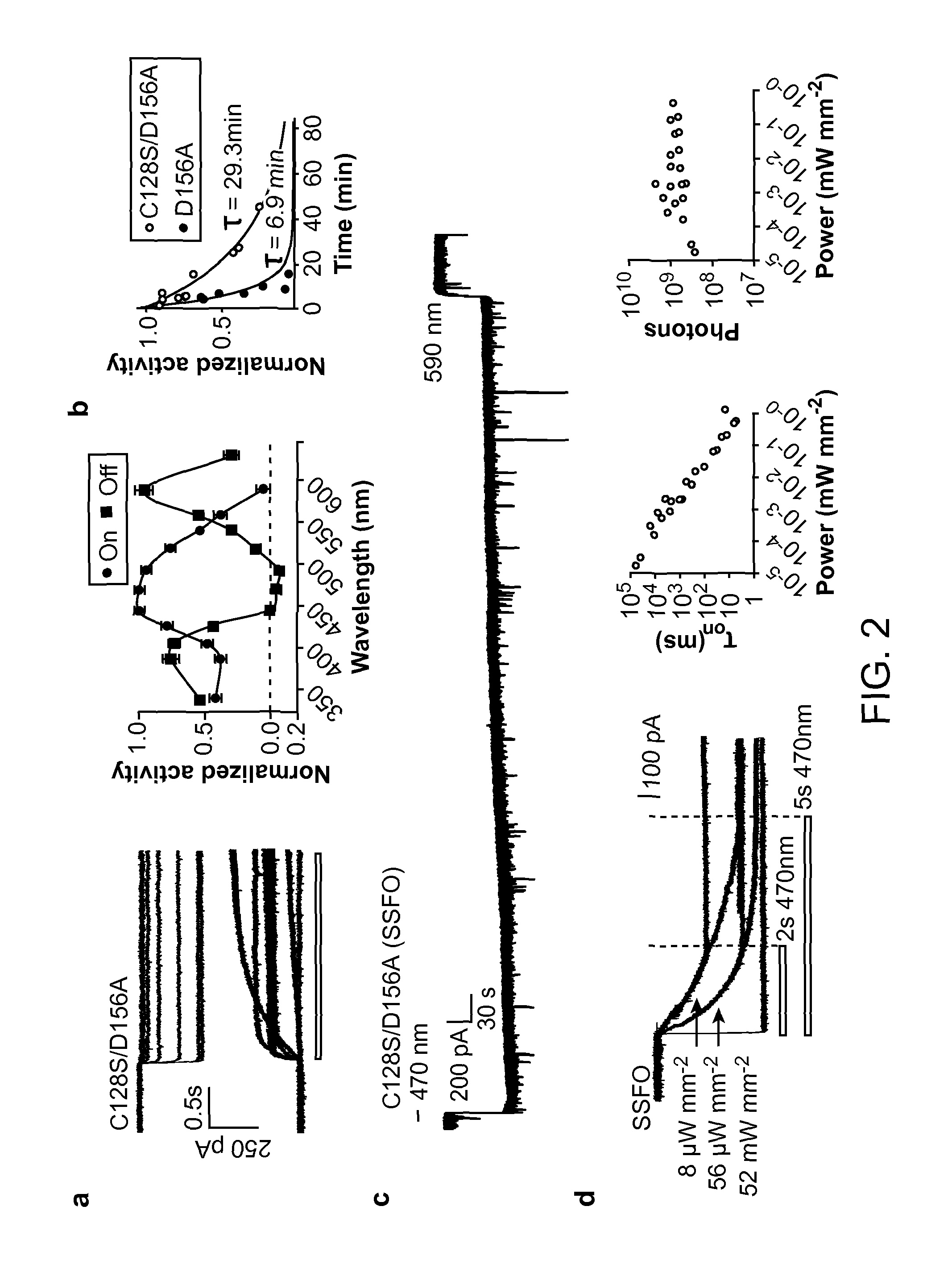 Stabilized Step Function Opsin Proteins and Methods of Using the Same