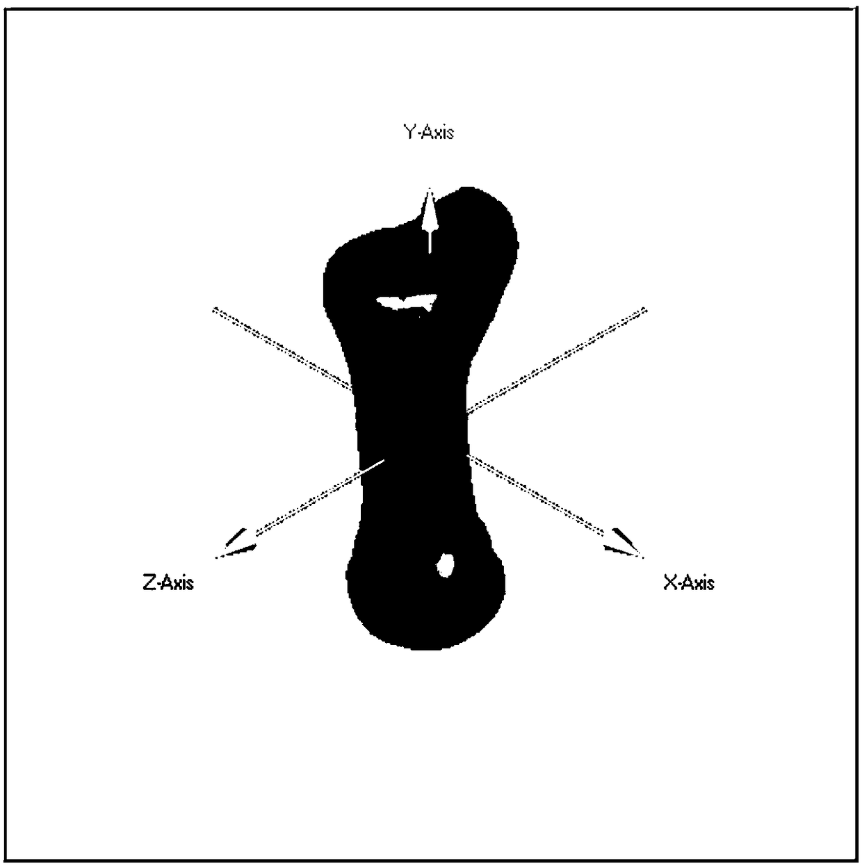 A reconstruction method of incomplete foot fossil