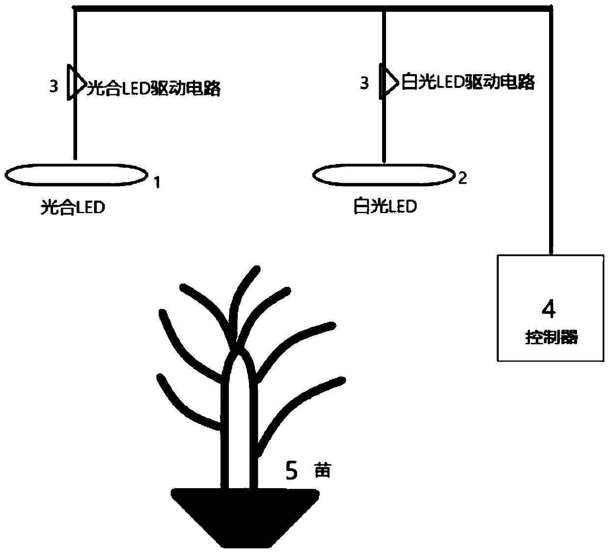 Light-controlled tomato seedling method and illumination equipment