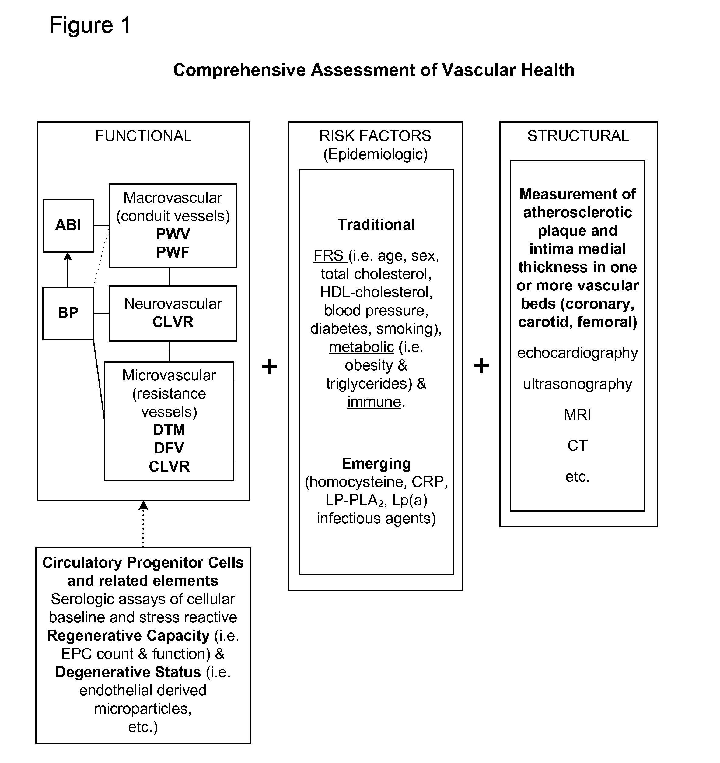 Method and apparatus for comprehensive assessment of vascular health