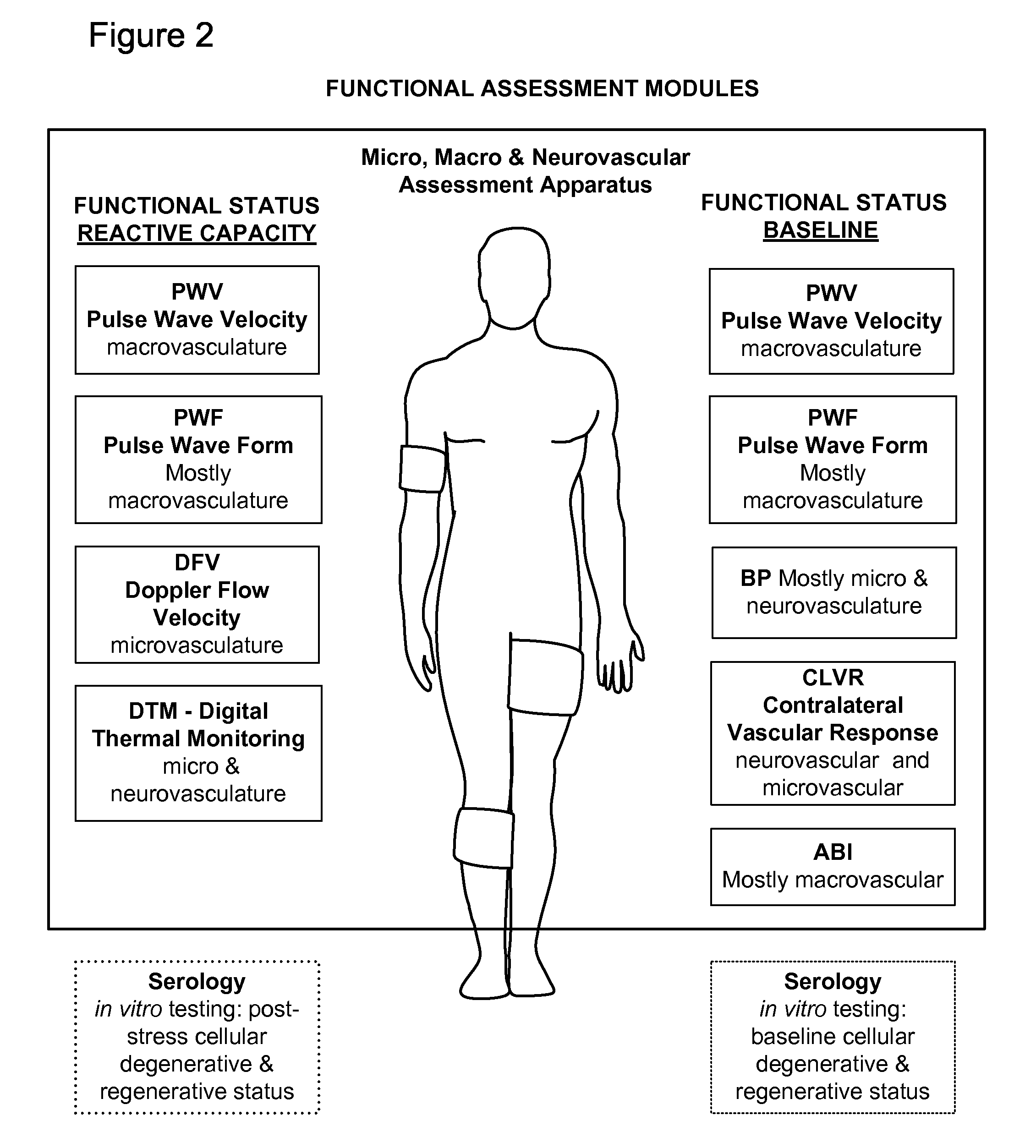 Method and apparatus for comprehensive assessment of vascular health