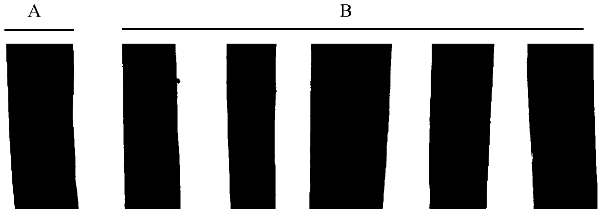 Application of wheat stripe rust pstg_06371 gene in stripe rust control and breeding method of stripe rust resistant wheat