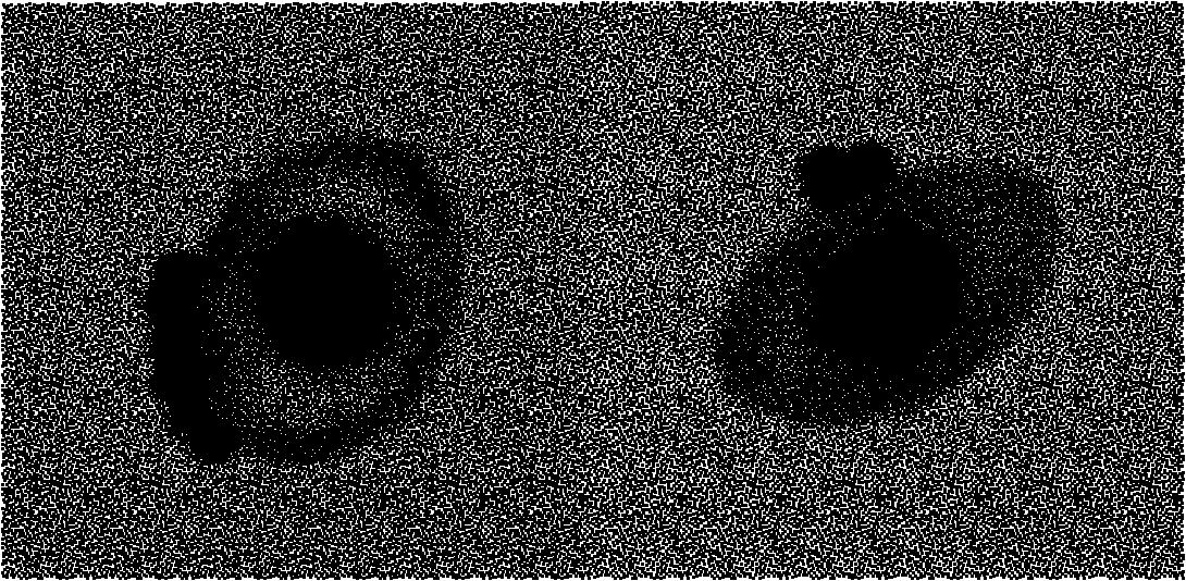 Method for monitoring benzo(a)pyrene pollution of seawater by utilizing fish blood cells