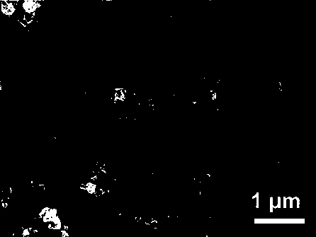 Preparation method of molybdenum diselenide nanosheet ball-graphene composite material