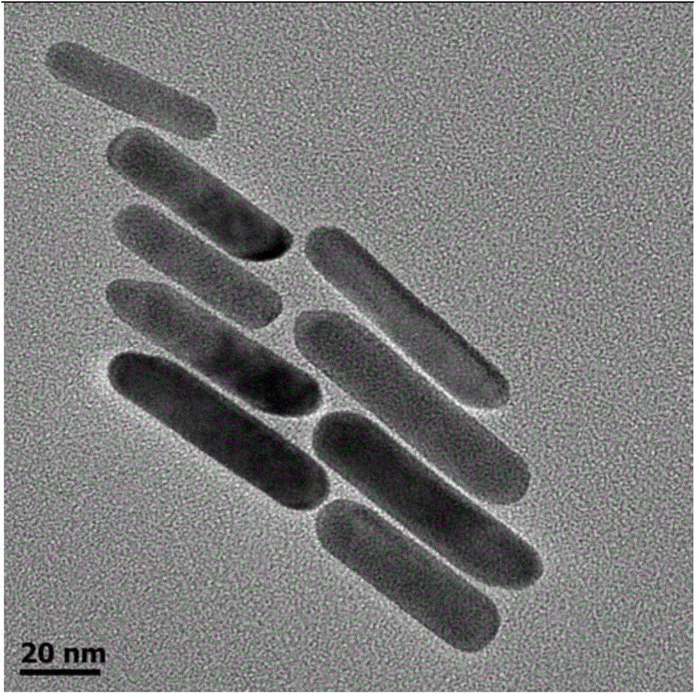 Fiber film coated with gold nanorods, and preparation method and application thereof