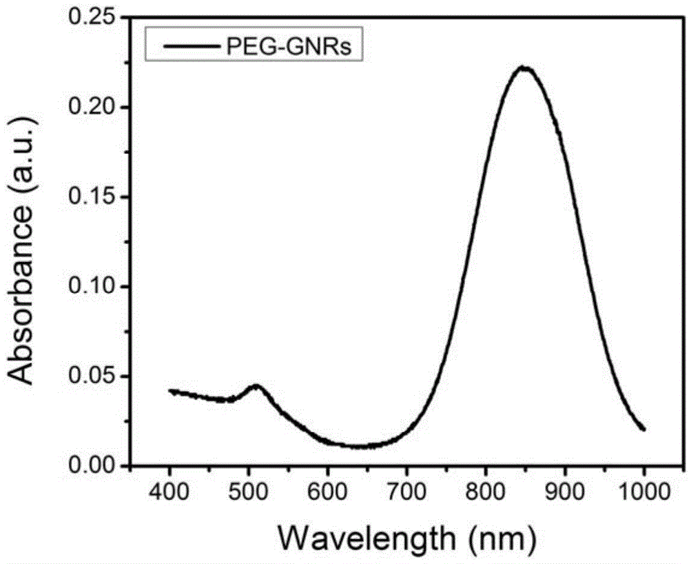 Fiber film coated with gold nanorods, and preparation method and application thereof