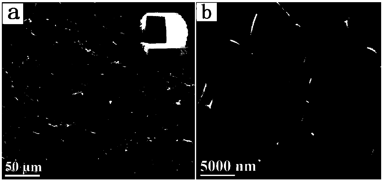 Hierarchical porous carbon block material for formaldehyde purification and preparation method and application thereof