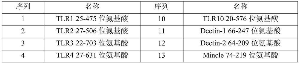 Dimeric immunofusion proteins, pharmaceutical compositions and uses