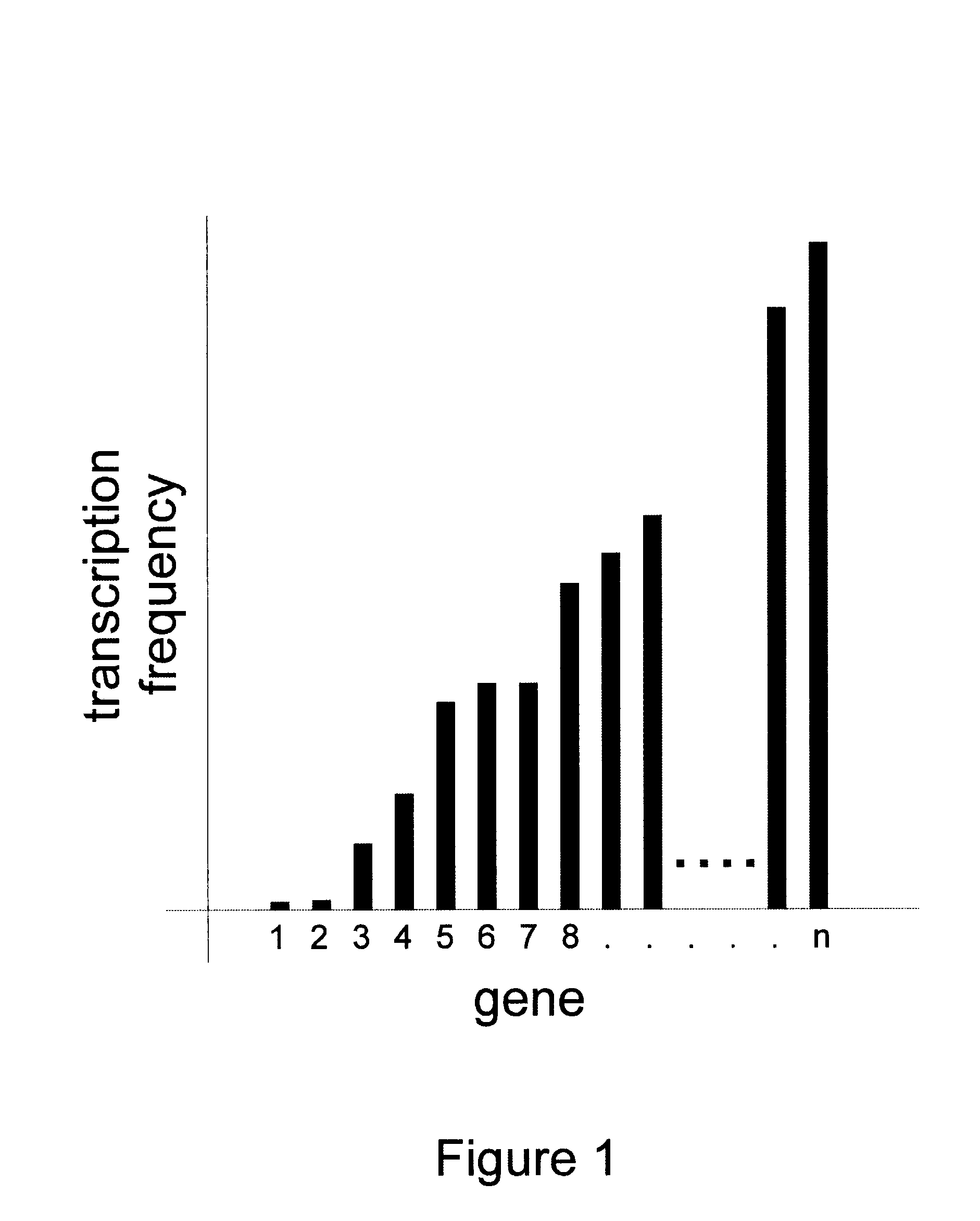 Methods for gene array analysis of nuclear runoff transcripts