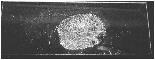 Rare-earth-phosphonic acid ultrathin two-dimensional material as well as preparation method and application thereof