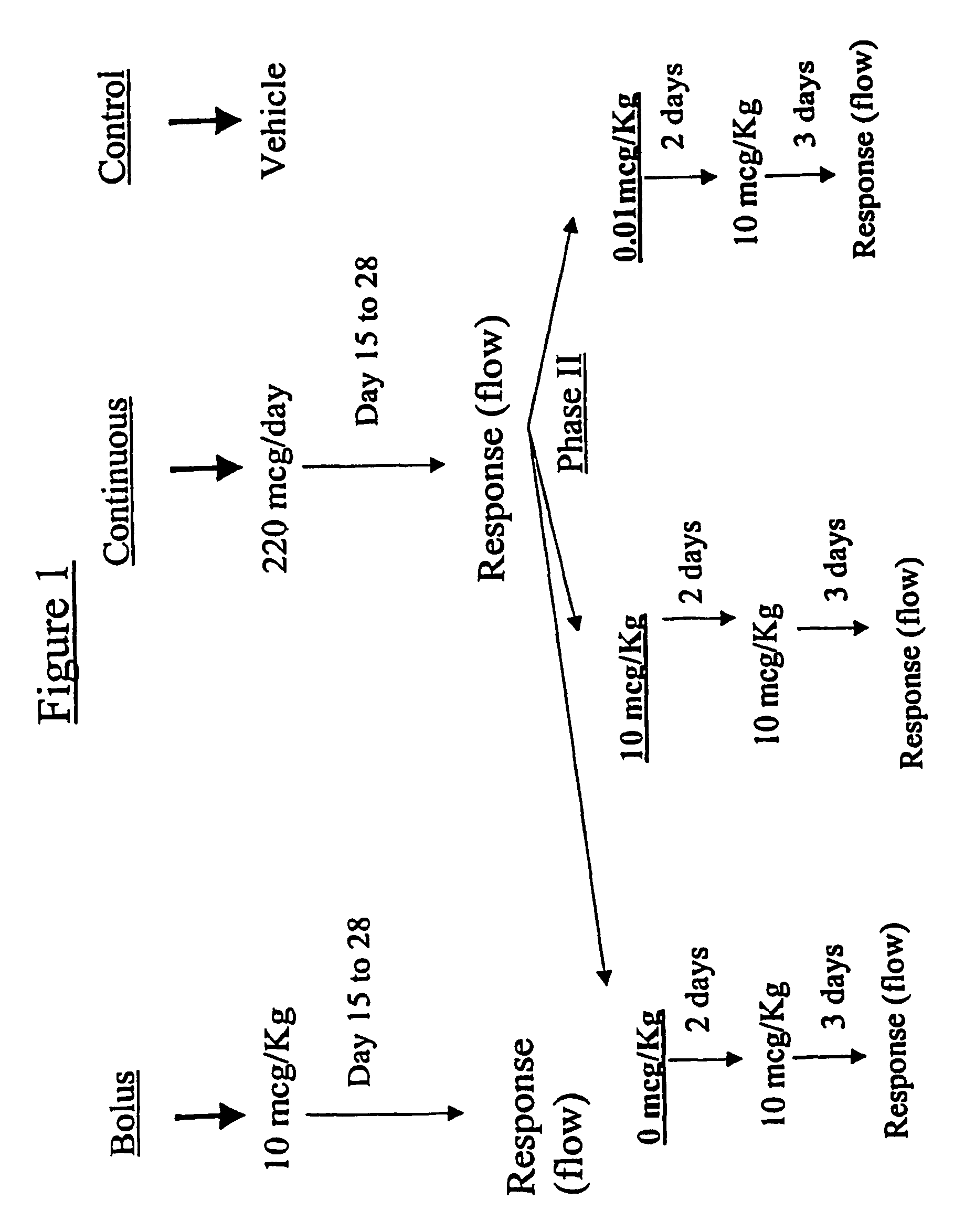 Estrogen replacement regimen