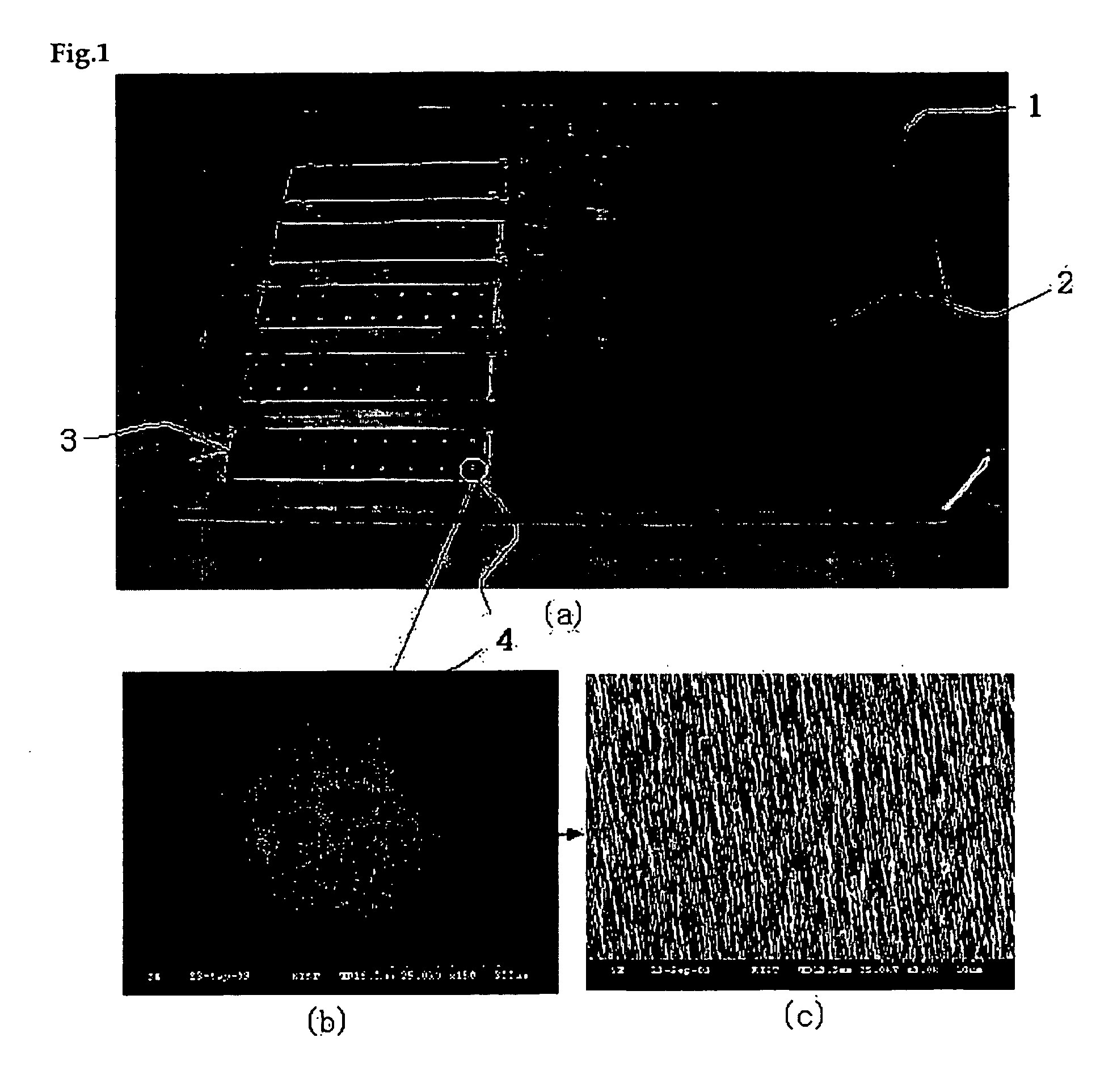 Nanowire Assisted Laser Desorption/Ionization Mass Spectrometric Analysis