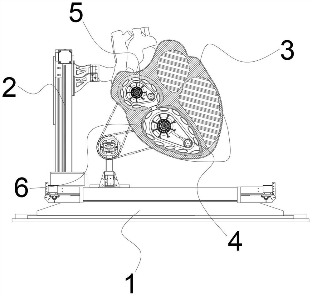 Multi-mode atrial fibrillation demonstration model