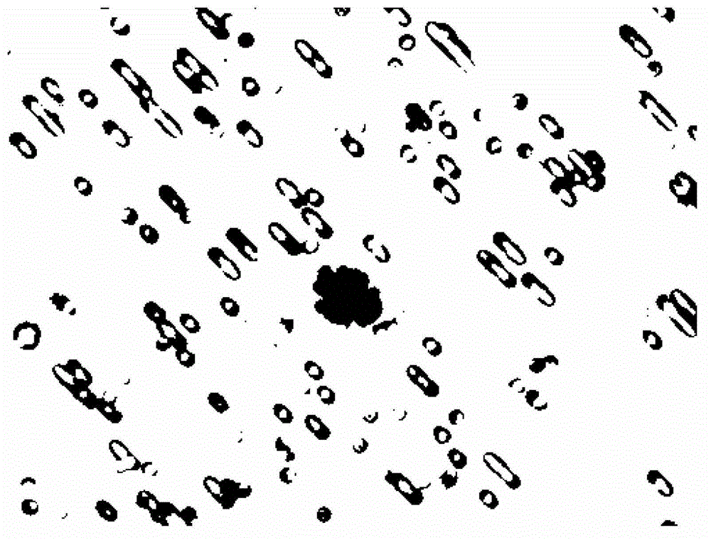 Circulating tumor cell dyeing kit and use thereof