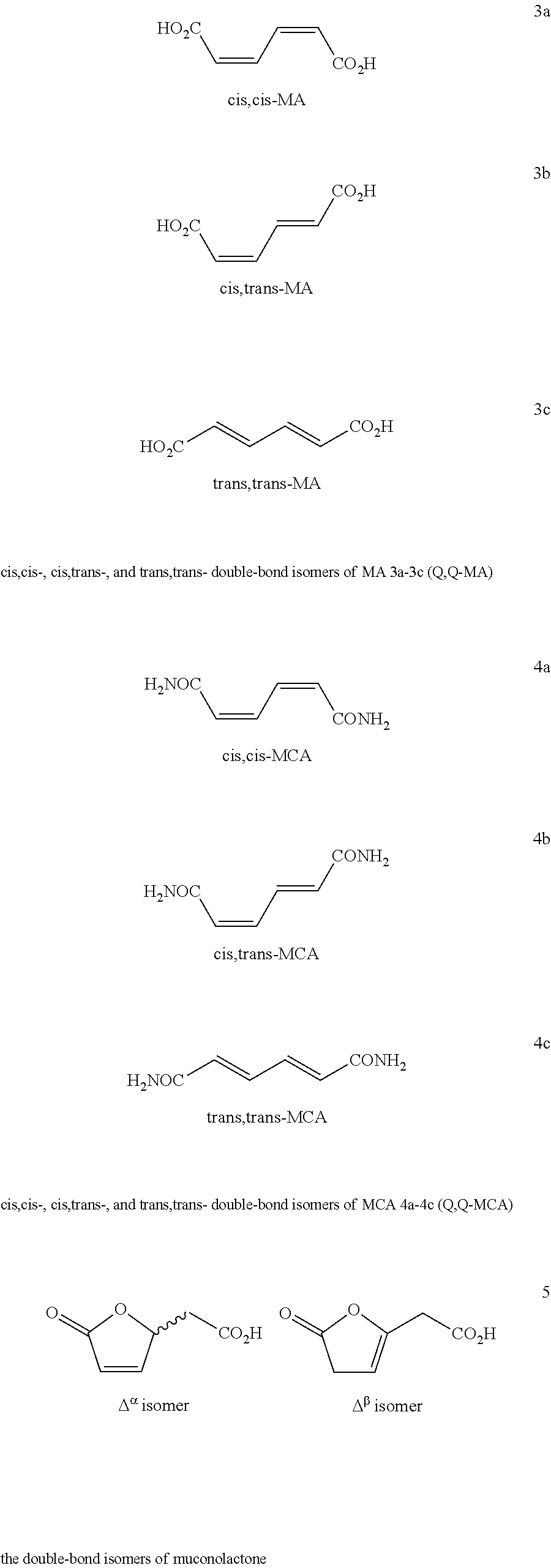 Process for preparing caprolactam and polyamides therefrom