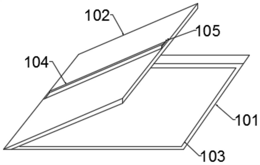 A gynecological clinical washing applicator