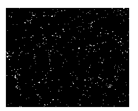 Method for preparing medical metal implant material multi-hole niobium