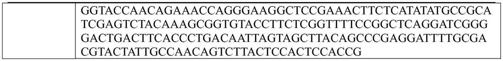 Novel coronavirus detection kit