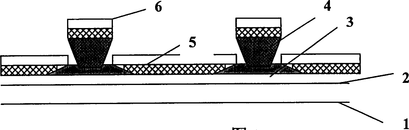 Method for manufacturing transparent anode and electrode lead wire of organic luminescent display unit