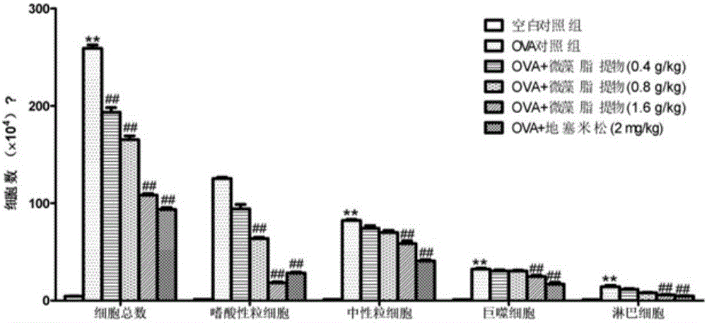 Microalgae composition for preventing and treating airway inflammation as well as preparation and application thereof