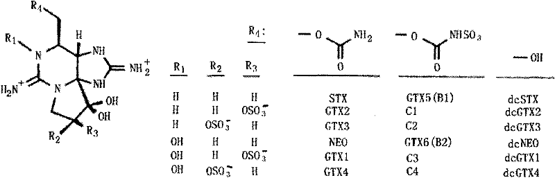 Paralytic shellfish poisoning (PSP) standard sample and preparation method and application thereof