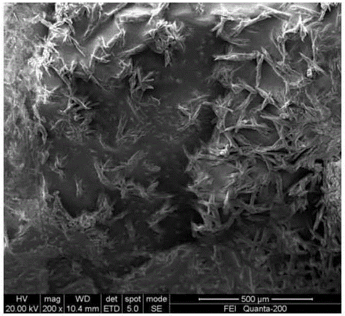 Preparation method for paclitaxel coating on surface of drug balloon