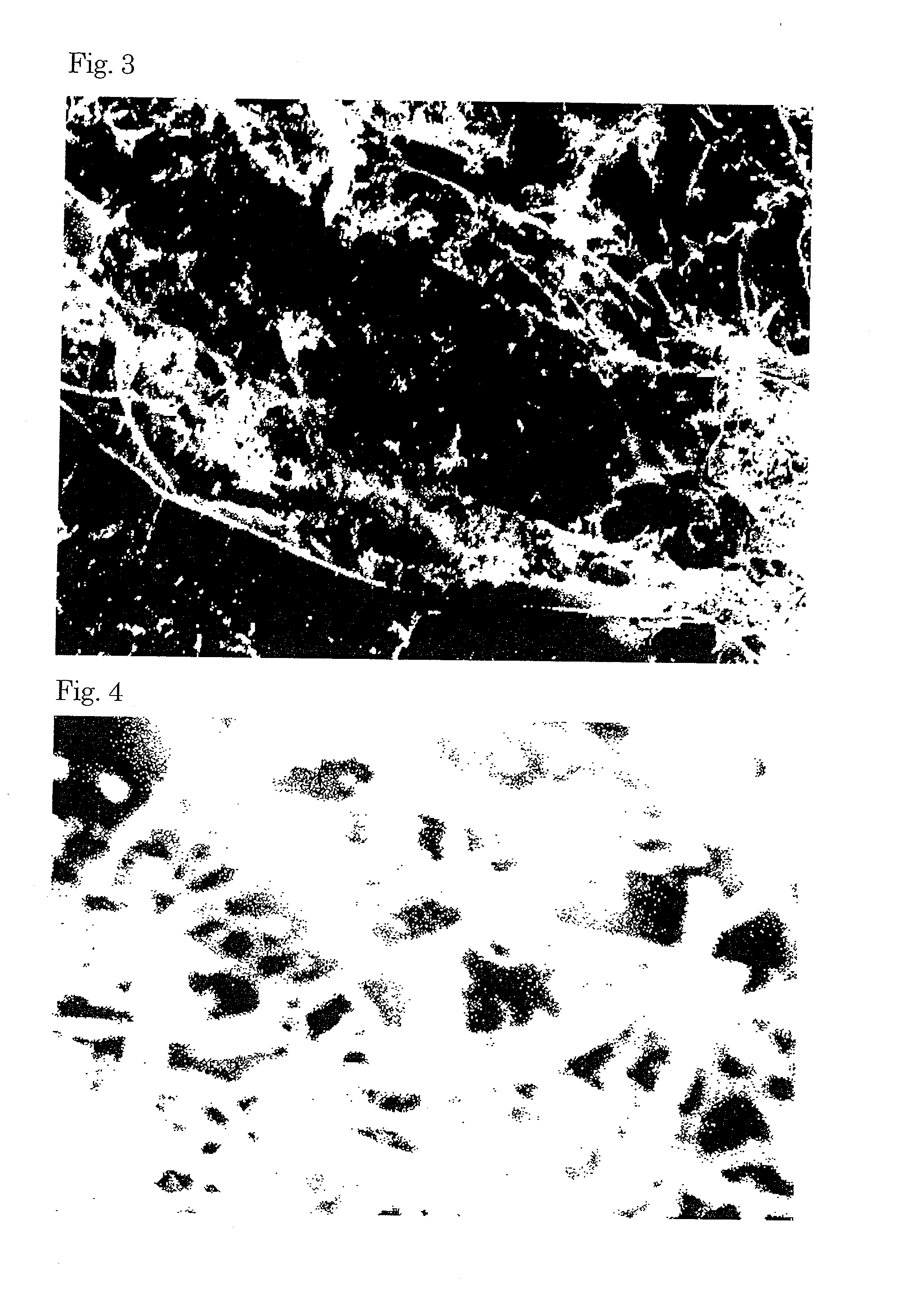 Organic inorganic composite powder, method of producing the same, and composition containing the powder