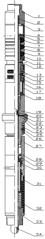 Long-effect packer for oilfield water exclusion production