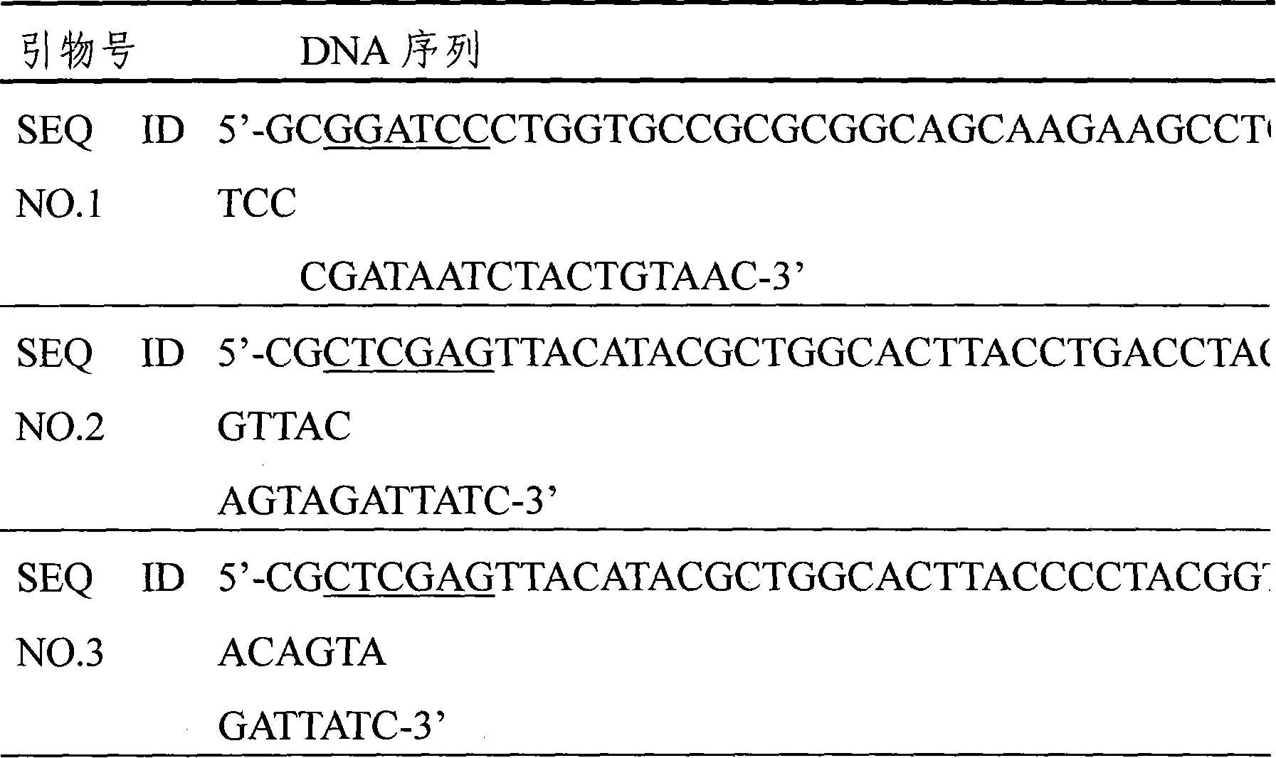 Insect antimicrobial peptide Thanatin and method for producing deletion mutant thereof