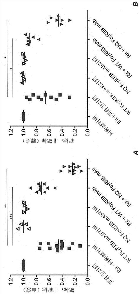 Novel combination and use of antibodies