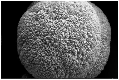 Preparation method of low-sulfur compact crystal form cobalt carbonate