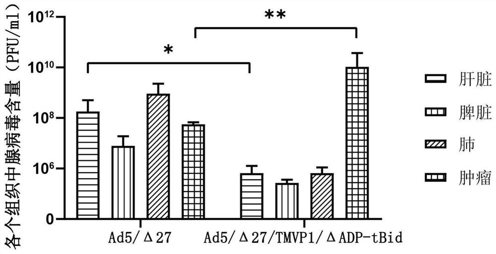 Oncolytic adenovirus recombinant carrying TMVP1 and tBid as well as construction method and application of oncolytic adenovirus recombinant