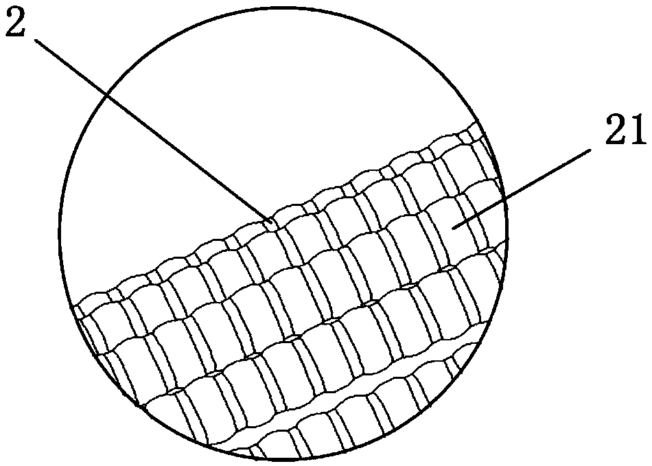 Light concentrating device suitable for pipeline breeding and application method thereof