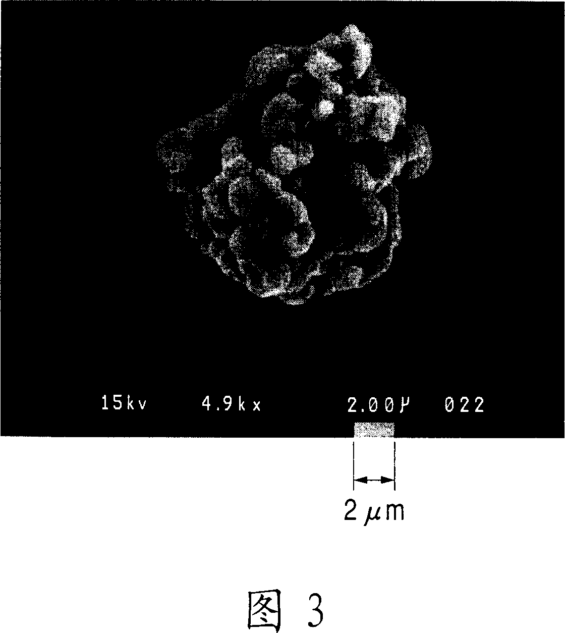 Positive electrode active material for lithium secondary cell and lithium secondary cell