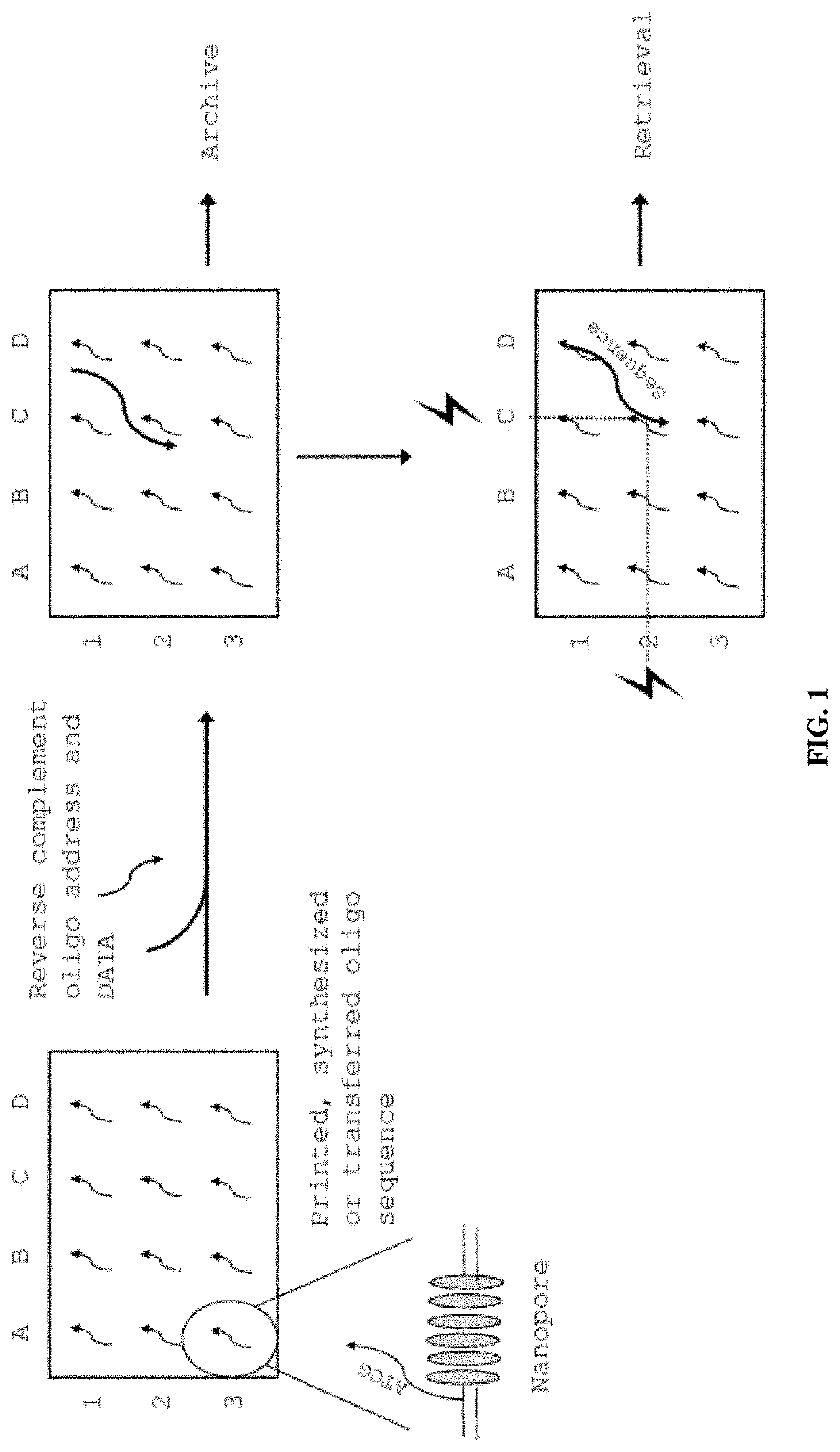 Compositions and methods for molecular memory storage and retrieval