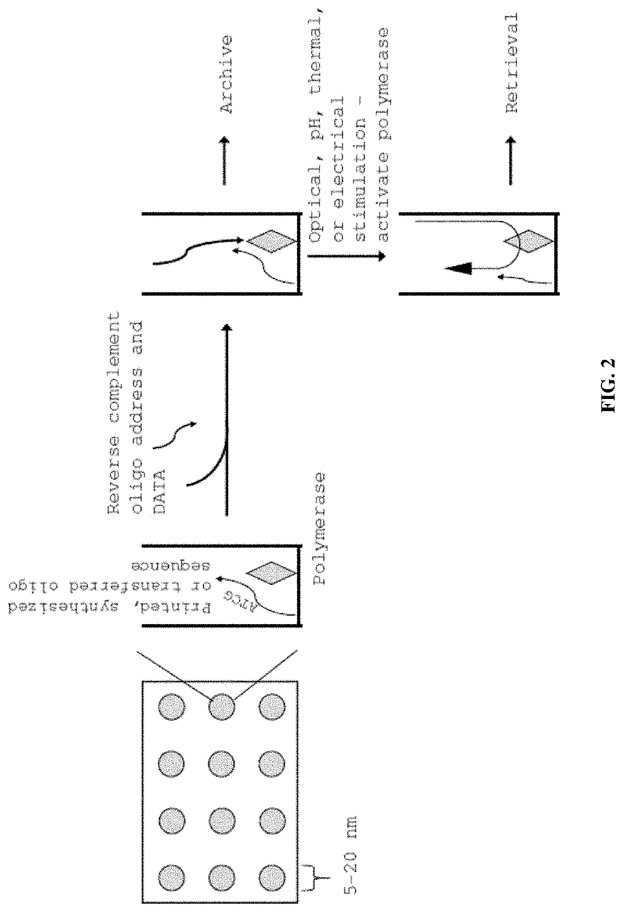 Compositions and methods for molecular memory storage and retrieval