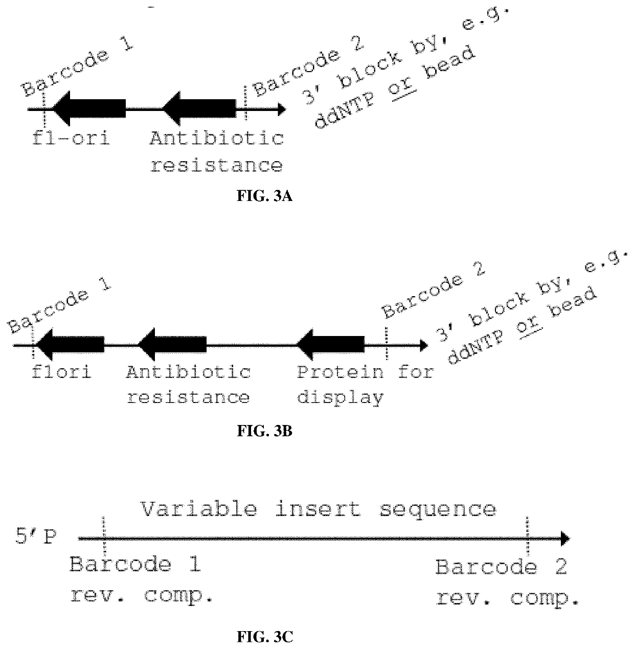 Compositions and methods for molecular memory storage and retrieval