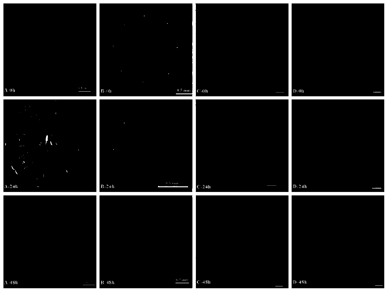 Application of a kind of tea saponin in the prevention and control of moon jellyfish