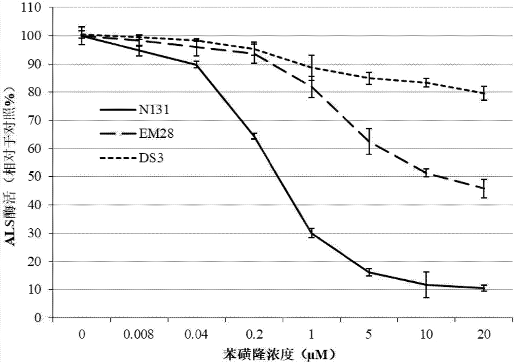 Acetolactate synthase mutant protein with herbicide resistance and application thereof