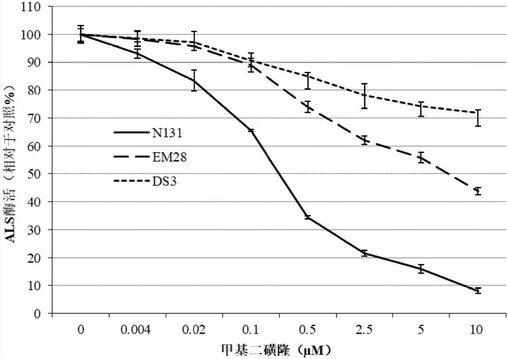 Acetolactate synthase mutant protein with herbicide resistance and application thereof