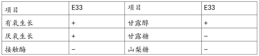 Lactobacillus salivarius NHE-LsE33 and application thereof